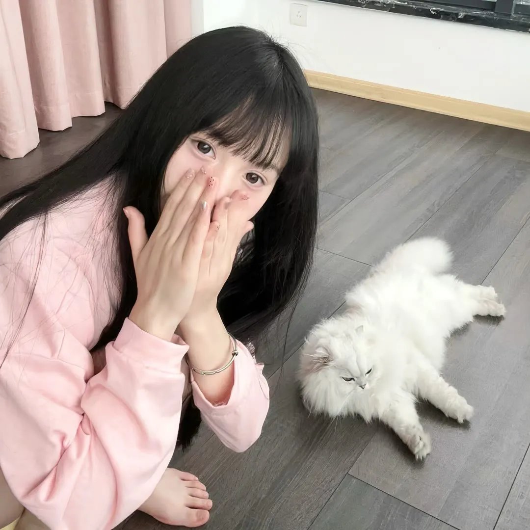 虎鲨王