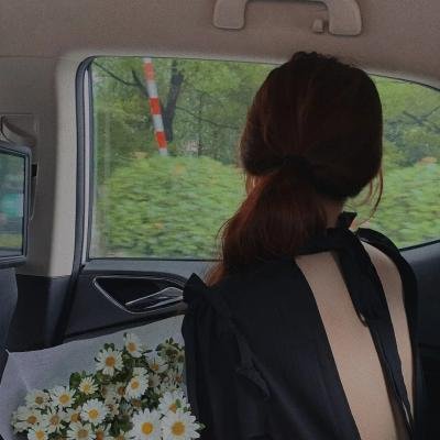 虞美人盛开的山坡